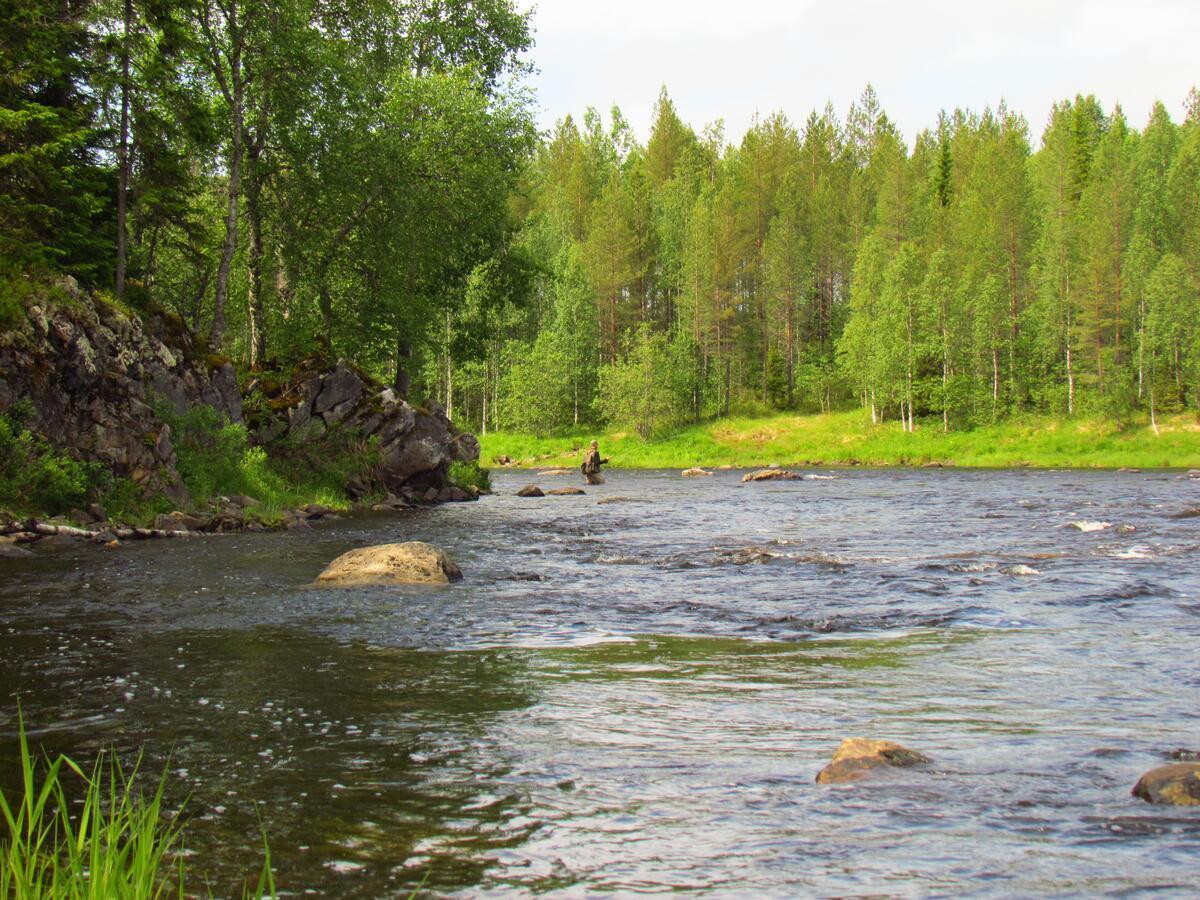 Saija Lodge Jokijärvi Exterior foto