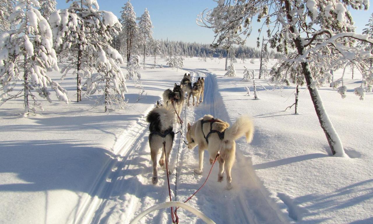 Saija Lodge Jokijärvi Exterior foto